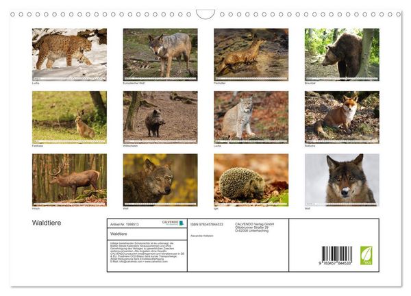 Produktbild: Waldtiere (Wandkalender 2026 DIN A3 quer), CALVENDO Monatskalender