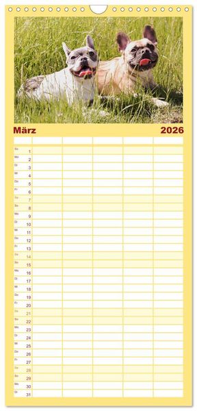 Produktbild: Familienplaner 2026 - Franz&ouml;sische Bulldoggen - Schutzengel auf 4 Pfoten mit 5 Spalten (Wandkalender, 21 x 45 cm) CALVENDO