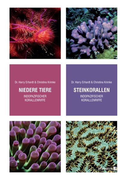 Produktbild: Steinkorallen/Niedere Tiere/Weichtiere/Schw&auml;mme/Stachelh&auml;uter/Fische indopazifischer Korallenriffe