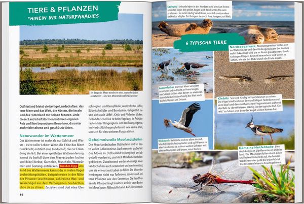Produktbild: MARCO POLO OUTDOOR GUIDE Reisef&uuml;hrer Ostfriesland & Ostfriesische Inseln