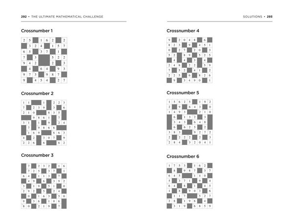 Produktbild: The Ultimate Mathematical Challenge