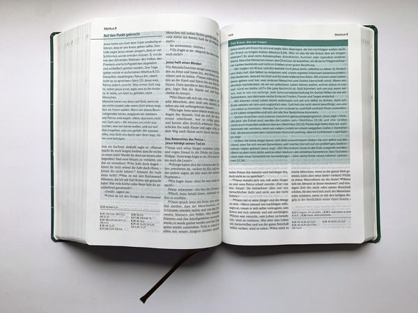 Produktbild: Die Bibel mit Impulsen von Joyce Meyer
