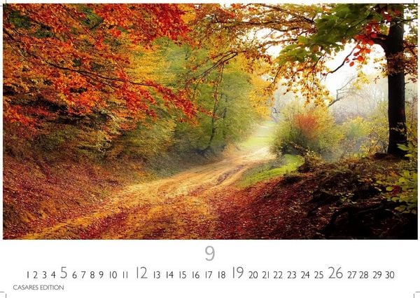 Produktbild: Wald & Natur Kalender 2027 &ndash; Wandkalender | Fotokalender Naturkalender Gro&szlig;format 35x50cm - Nat&uuml;rliche Sch&ouml;nheit & Ruhe f&uuml;r jeden Monat .