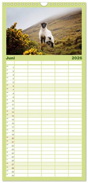 Produktbild: Familienplaner 2026 - Unter Schafen - Wegbegleiter auf Reisen mit 5 Spalten (Wandkalender, 21 x 45 cm) CALVENDO