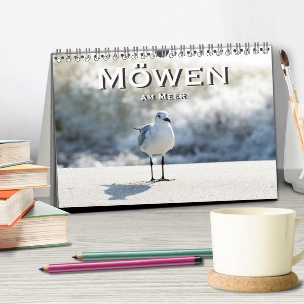 Produktbild: M&ouml;wen am Meer (Tischkalender 2026 DIN A5 quer), CALVENDO Monatskalender