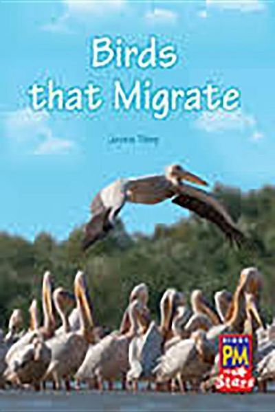 Produktbild: Birds That Migrate
