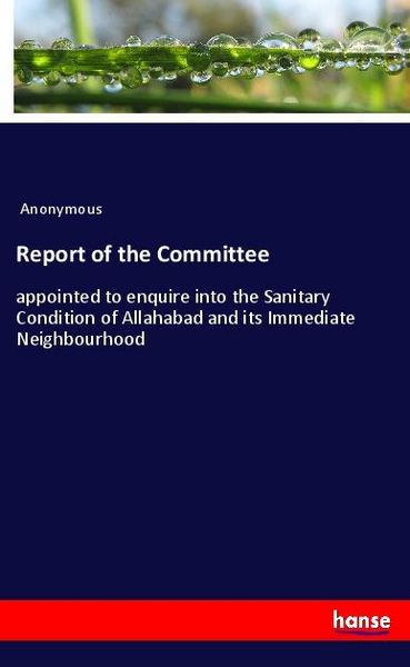 Produktbild: Report of the Committee