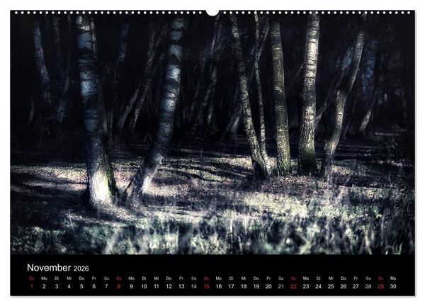 Produktbild: Mystische W&auml;lder (hochwertiger Premium Wandkalender 2026 DIN A2 quer), Kunstdruck in Hochglanz