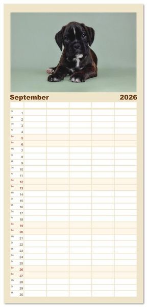 Produktbild: Familienplaner 2026 - Boxer Welpen einfach zuckers&uuml;&szlig; mit 5 Spalten (Wandkalender, 21 x 45 cm) CALVENDO