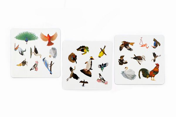 Produktbild: Finde den Vogel