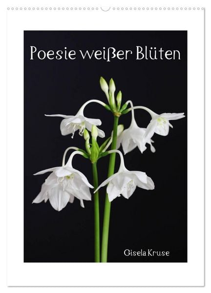 Produktbild: Poesie wei&szlig;er Bl&uuml;ten (Wandkalender 2026 DIN A2 hoch), CALVENDO Monatskalender