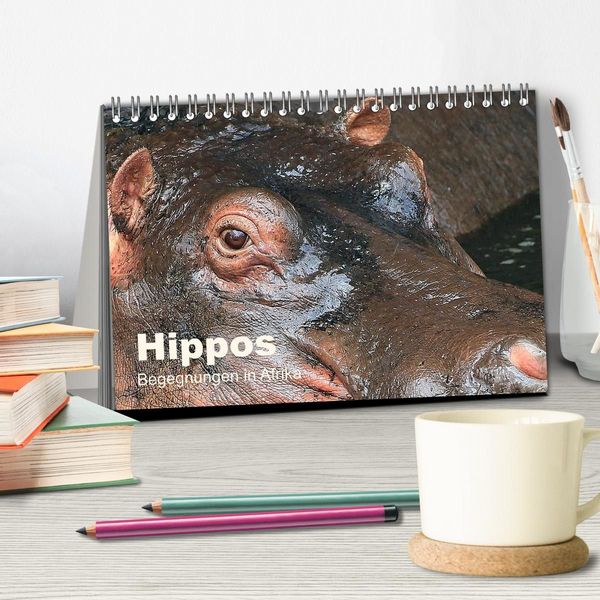 Produktbild: Hippos - Begegnungen in Afrika (Tischkalender 2027 DIN A5 quer), CALVENDO Monatskalender
