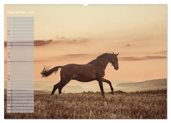 Produktbild: Pferde - Spiegel deiner Seele (hochwertiger Premium Wandkalender 2026 DIN A2 quer), Kunstdruck in Hochglanz
