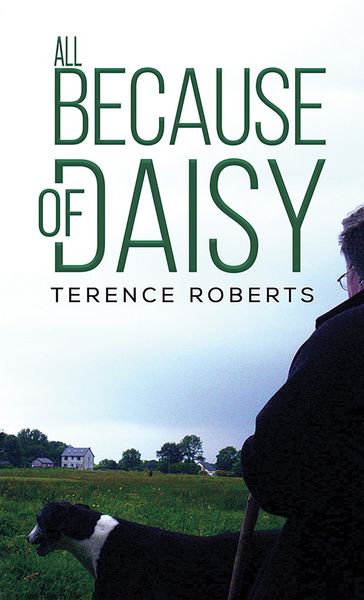 Produktbild: All Because of Daisy