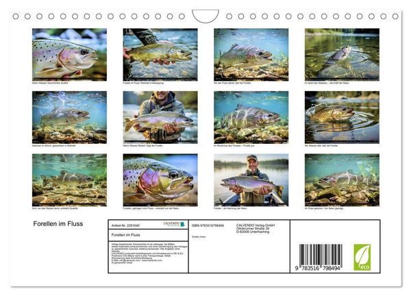 Produktbild: Forellen im Fluss (Wandkalender 2027 DIN A4 quer), CALVENDO Monatskalender