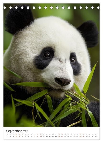 Produktbild: Panda Momente (Tischkalender 2027 DIN A5 hoch), CALVENDO Monatskalender