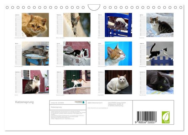 Produktbild: Katzensprung (Wandkalender 2026 DIN A4 quer), CALVENDO Monatskalender