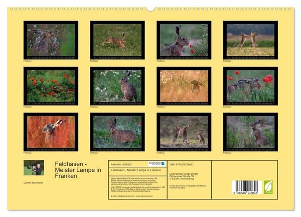 Produktbild: Feldhasen - Meister Lampe in Franken (hochwertiger Premium Wandkalender 2026 DIN A2 quer), Kunstdruck in Hochglanz