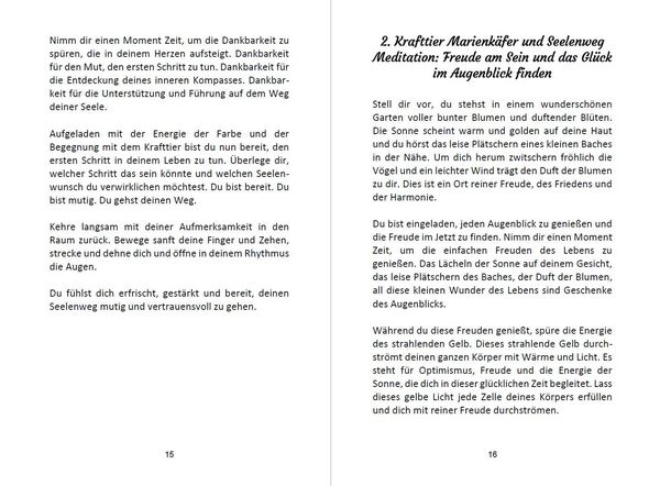 Produktbild: 52 Seelenweg und Krafttier Meditationen