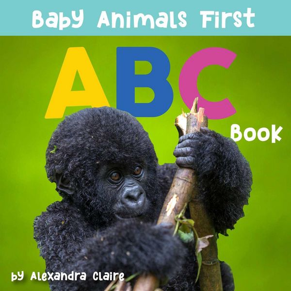 Produktbild: Baby Animals First ABC Book