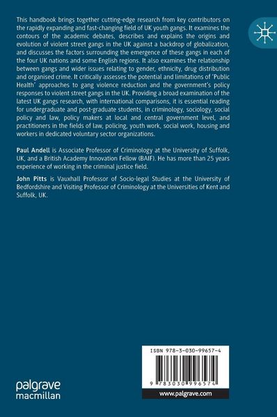 Produktbild: The Palgrave Handbook of Youth Gangs in the UK