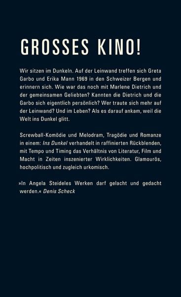 Produktbild: Ins Dunkel