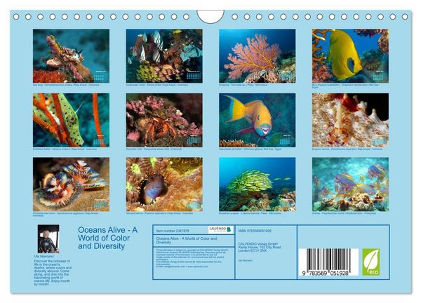 Produktbild: Oceans Alive - A World of Color and Diversity (Wall Calendar 2027 DIN A4 landscape), CALVENDO 12 Month Wall Calendar