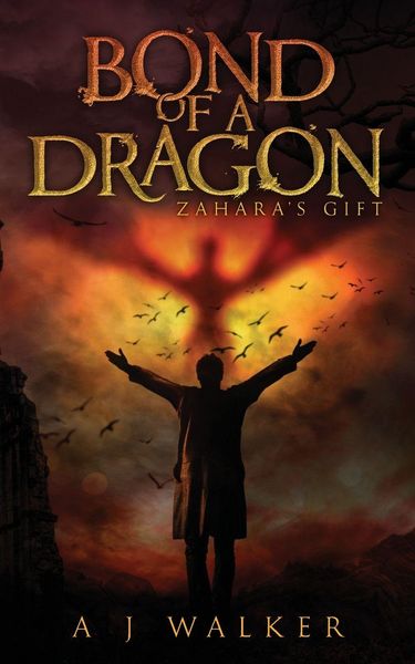 Produktbild: Bond of a Dragon