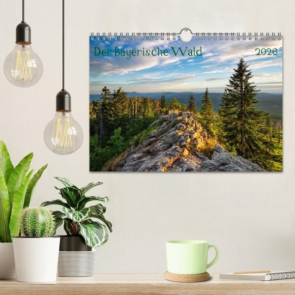 Produktbild: Der Bayerische Wald (Wandkalender 2026 DIN A4 quer), CALVENDO Monatskalender