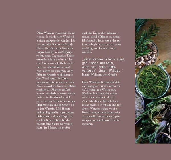 Produktbild: Wildkr&auml;uter, Handarbeit & Brauchtum