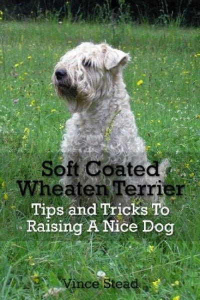 Produktbild: Soft Coated Wheaten Terrier Tips and Tricks To Raising A Nice Dog