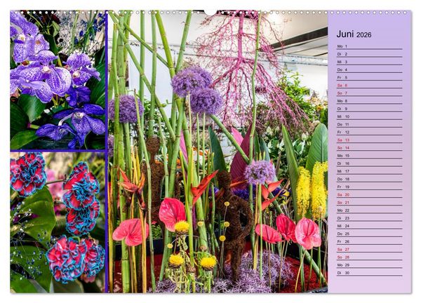 Produktbild: Gartenschau in Erfurt (Wandkalender 2026 DIN A2 quer), CALVENDO Monatskalender