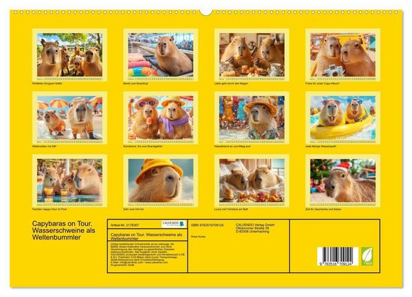 Produktbild: Capybaras on Tour. Wasserschweine als Weltenbummler (hochwertiger Premium Wandkalender 2026 DIN A2 quer), Kunstdruck in Hochglanz