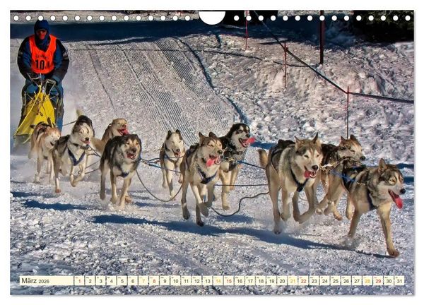 Produktbild: B&uuml;hne frei f&uuml;r - Alaska (Wandkalender 2026 DIN A4 quer), CALVENDO Monatskalender