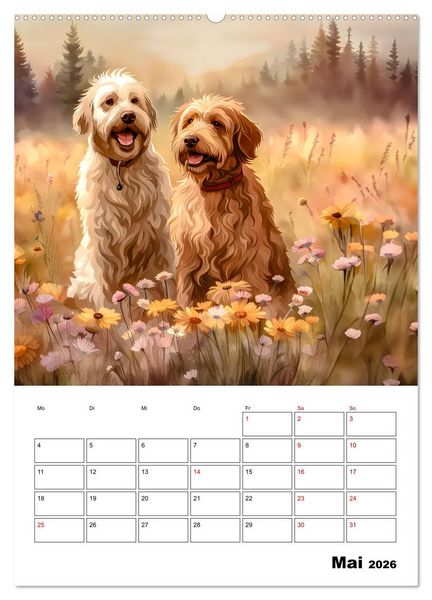 Produktbild: Aussiedoodle - Hunde zum Liebhaben (hochwertiger Premium Wandkalender 2026 DIN A2 hoch), Kunstdruck in Hochglanz