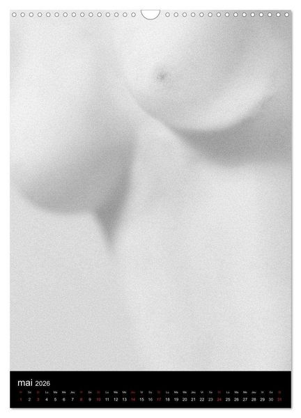 Produktbild: F&eacute;minit&eacute; (Calendrier mural 2026 DIN A3 horizontal), CALVENDO calendrier mensuel