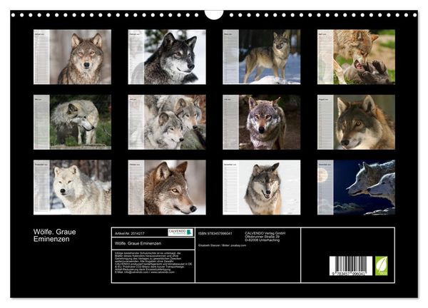Produktbild: W&ouml;lfe. Graue Eminenzen (Wandkalender 2026 DIN A3 quer), CALVENDO Monatskalender