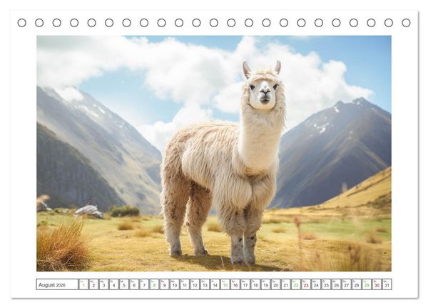 Produktbild: Die Welt der Alpakas (Tischkalender 2026 DIN A5 quer), CALVENDO Monatskalender
