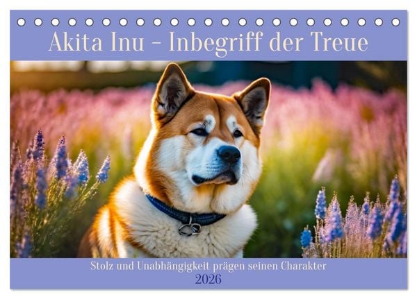 Akita Inu - Inbegriff der Treue (Tischkalender 2026 DIN A5 quer), CALVENDO Monatskalender