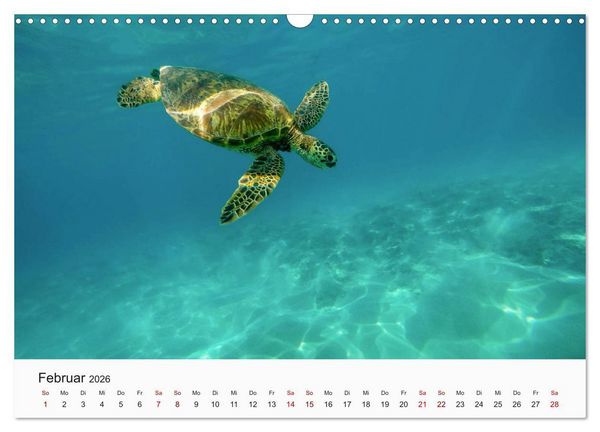 Produktbild: Hawaii - Sommer, Sonne, Urlaub (Wandkalender 2026 DIN A3 quer), CALVENDO Monatskalender