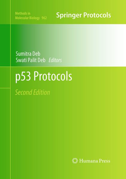 Produktbild: P53 Protocols