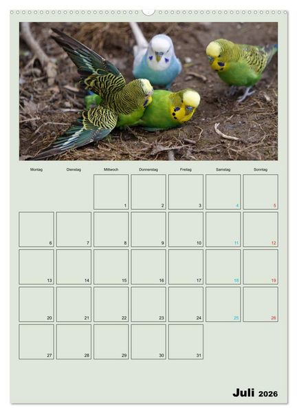 Produktbild: Wellensittiche Terminplaner (hochwertiger Premium Wandkalender 2026 DIN A2 hoch), Kunstdruck in Hochglanz