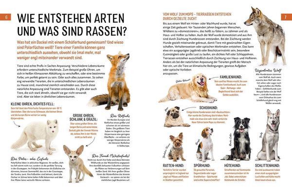 Produktbild: Heimische Tiere und ihre wilden Verwandten