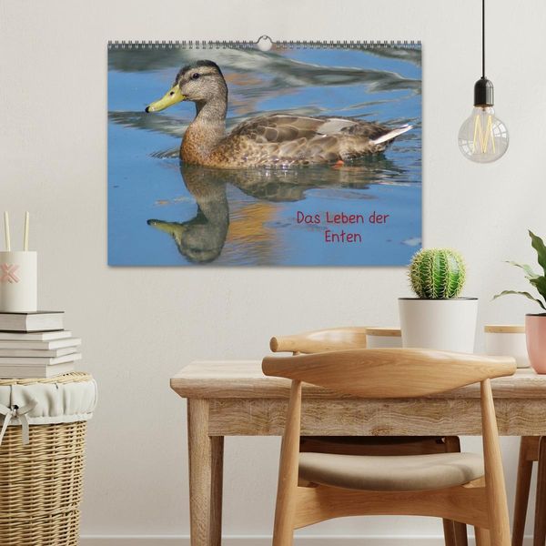 Produktbild: Das Leben der Enten (Wandkalender 2026 DIN A3 quer), CALVENDO Monatskalender