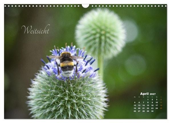 Produktbild: Bl&uuml;ten,Fl&uuml;gel und Gedanken &ndash; Ein Jahr in Bildern und Worten (Wandkalender 2027 DIN A3 quer), CALVENDO Monatskalender