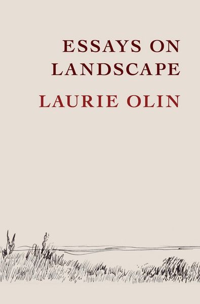 Produktbild: Essays on Landscape