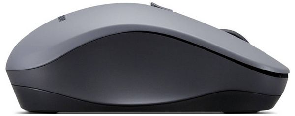 Produktbild: Lenovo WL310 Bluetooth Silent Mouse (P) Maus Kabellos Optisch Grau 6 Tasten