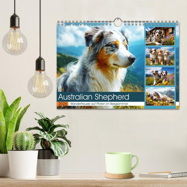 Produktbild: Australian Shepherd. Wanderfreude auf Pfoten im Bergsommer (Wandkalender 2026 DIN A4 quer), CALVENDO Monatskalender