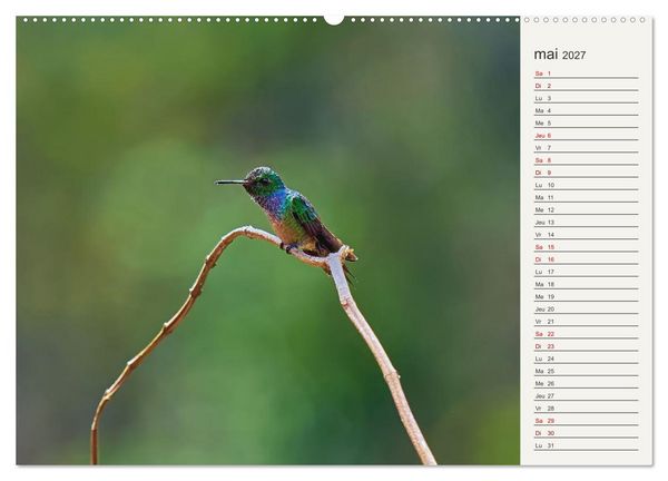 Produktbild: Colibris &ndash; &eacute;clats de nature (Calendrier mural 2027 DIN A2 vertical) calendrier de bureau