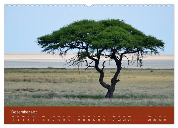 Produktbild: Namibia (hochwertiger Premium Wandkalender 2026 DIN A2 quer), Kunstdruck in Hochglanz